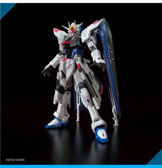 CB Bandai RG The Gundam Base Limited Freedom Gundam Ver.GCP Replacement Parts