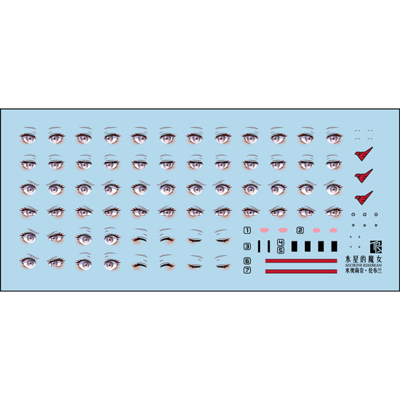 Transamsphere TRS FRS TWFM Miorine Rembran Water Slide Decal TRSFRS003