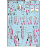 20250721 EVO 1/100 MG Z3  ZETA III ZZ3 Zeta fluo water slide decal EVO100