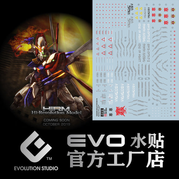 20250721 EVO HIRM 1/100 GOD Water Slide Decal EVOHIRM001