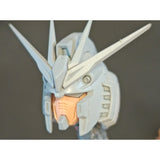 CA MG Nu RG Nu Gk パーツ コピーフェイス D13 パーツ